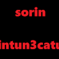 Sorin intun3catu