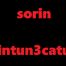 Sorin intun3catu